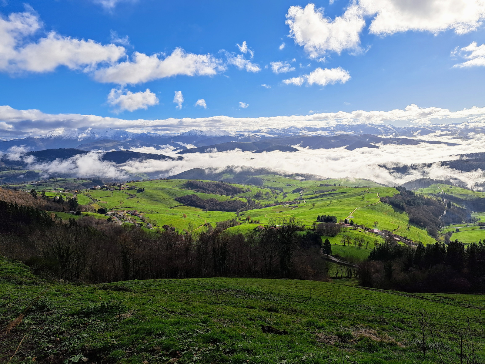 Fotografía de Camino Primitivo: Tinéu - Vil.lal.luz