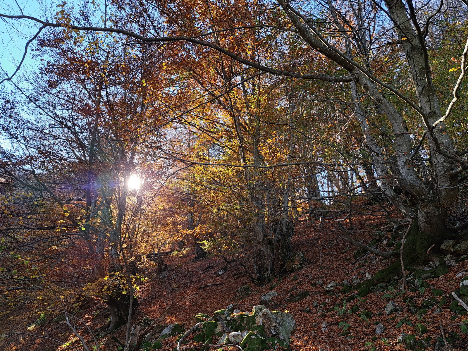 Fotografía de Pingarones de La Varera