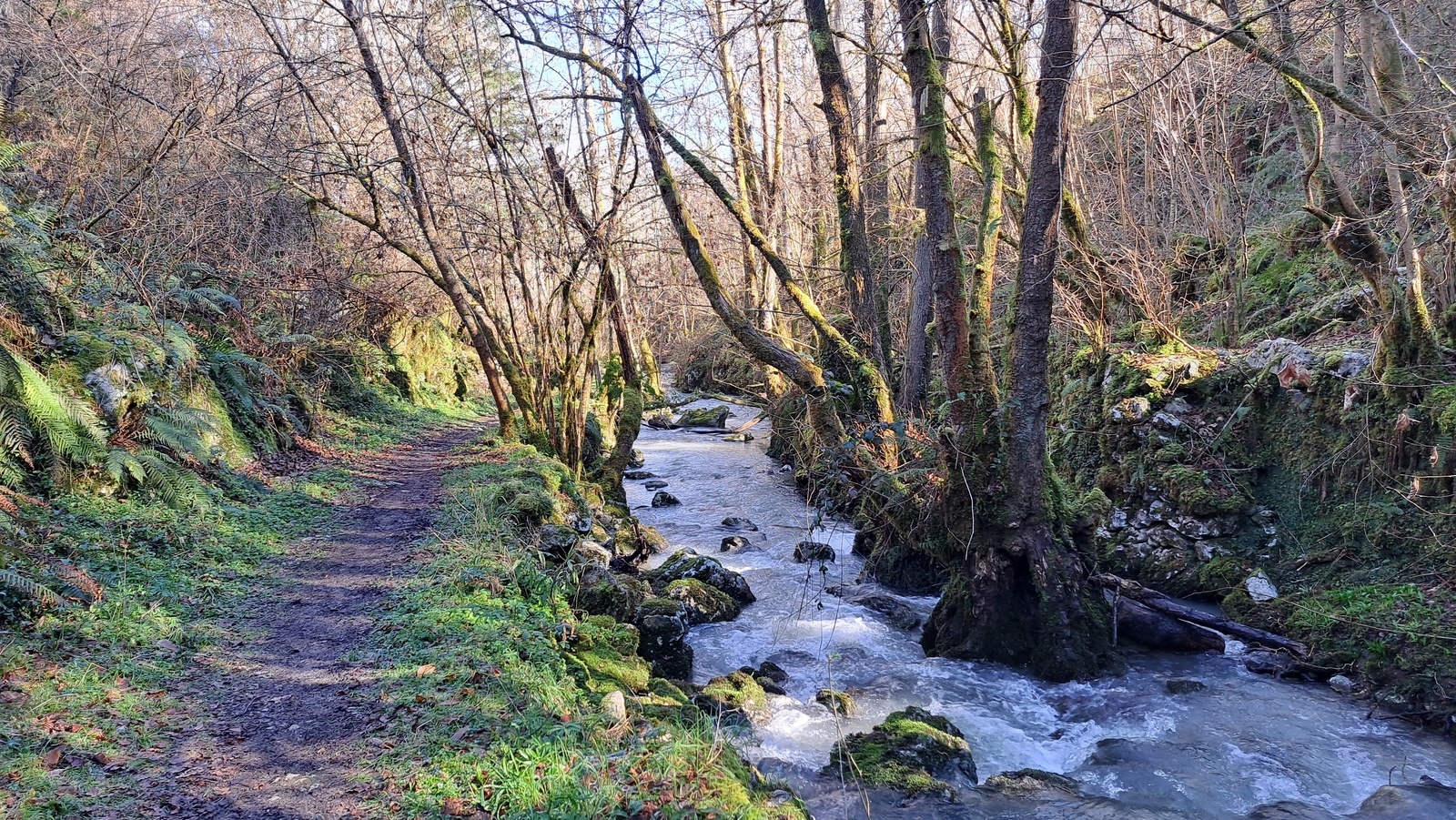 Fotografía de Ribera del Río de La Peña