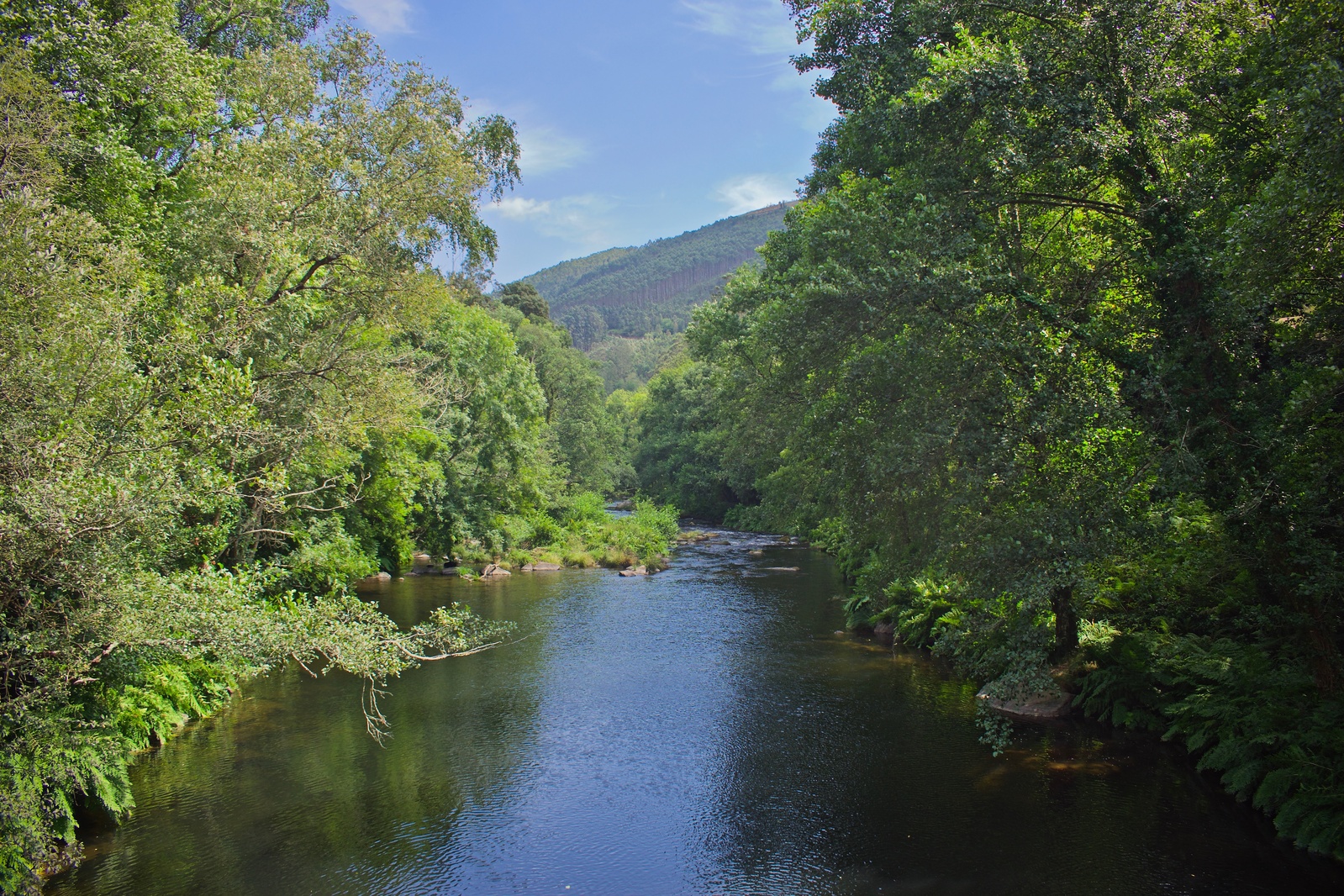 Fotografía de Ruta del Ferrocarril